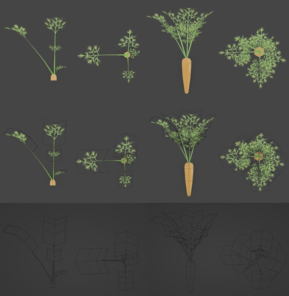 【無料セット】 ニンジン栽培・料理セット Free Carrot Growing and cooking set