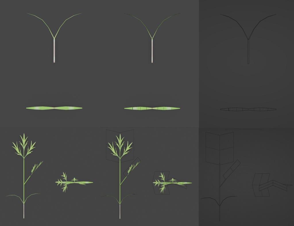 【無料セット】 ニンジン栽培・料理セット Free Carrot Growing and cooking set