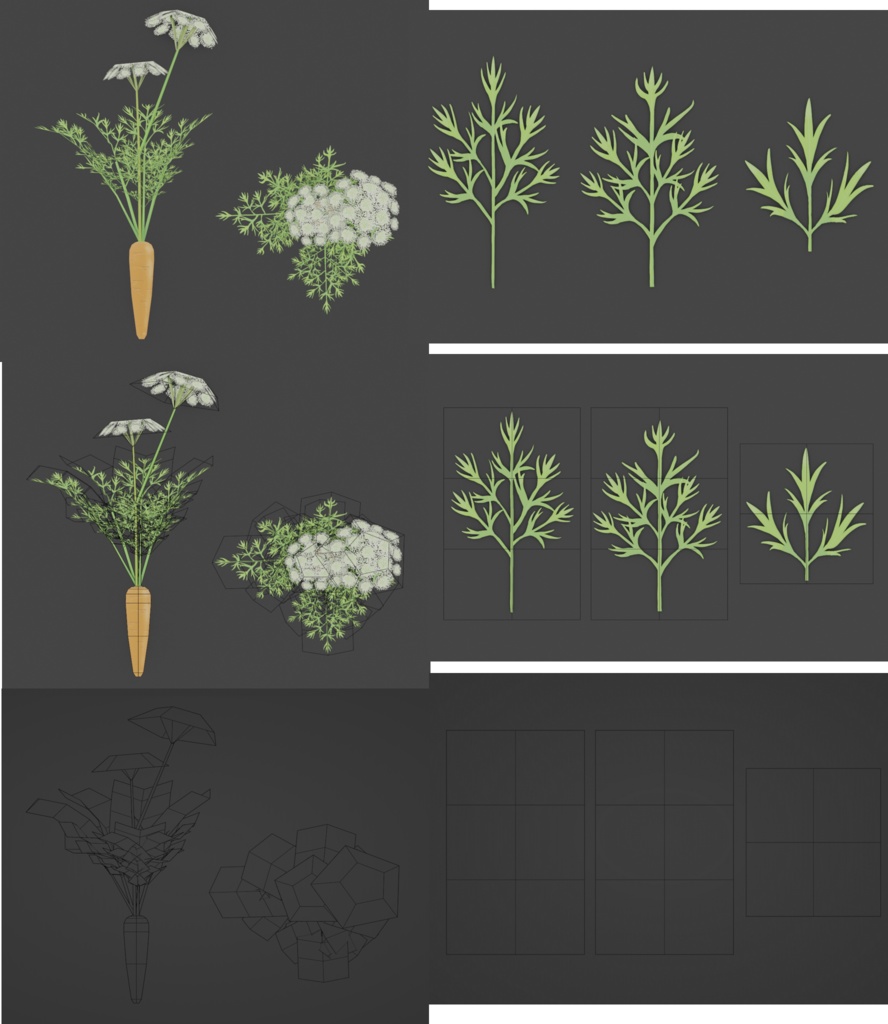 【無料セット】 ニンジン栽培・料理セット Free Carrot Growing and cooking set