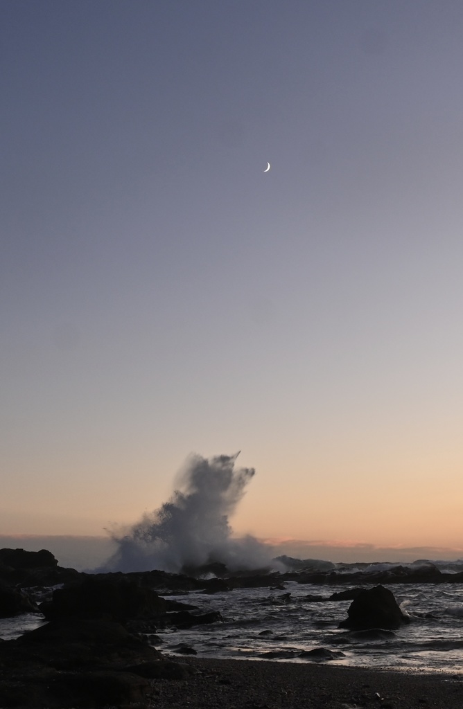 Quiet Tide 猫ちゃんの波