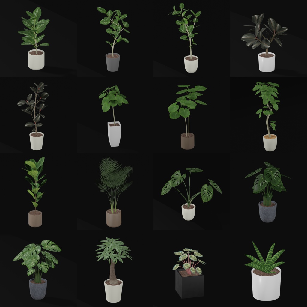観葉植物セット