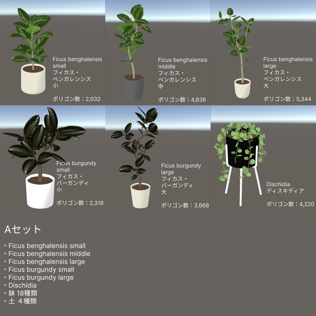 観葉植物セット