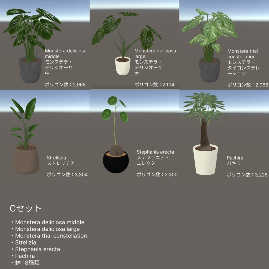 観葉植物セット