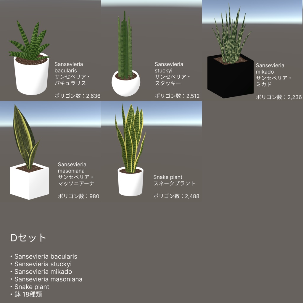 観葉植物セット