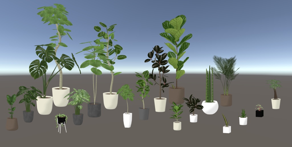 観葉植物セット