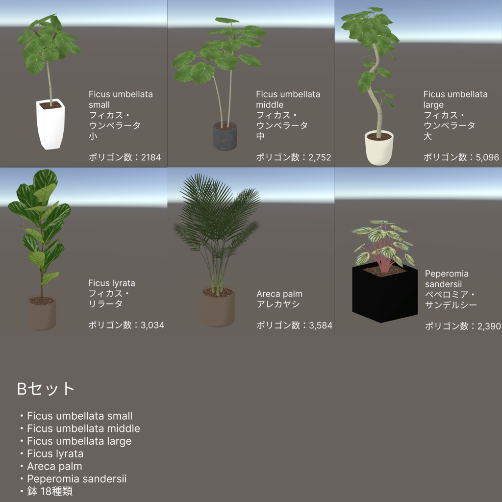 観葉植物セット