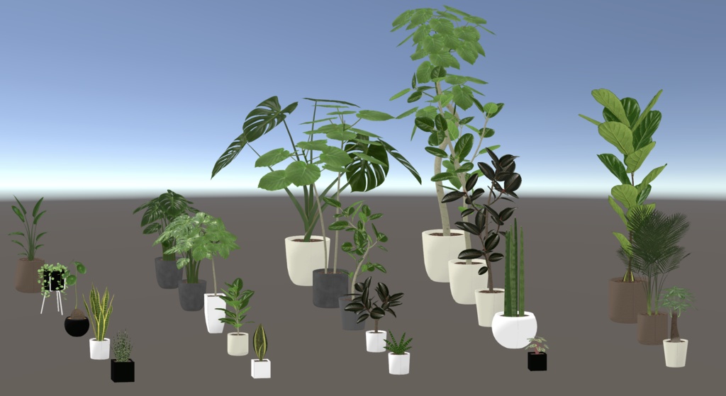 観葉植物セット