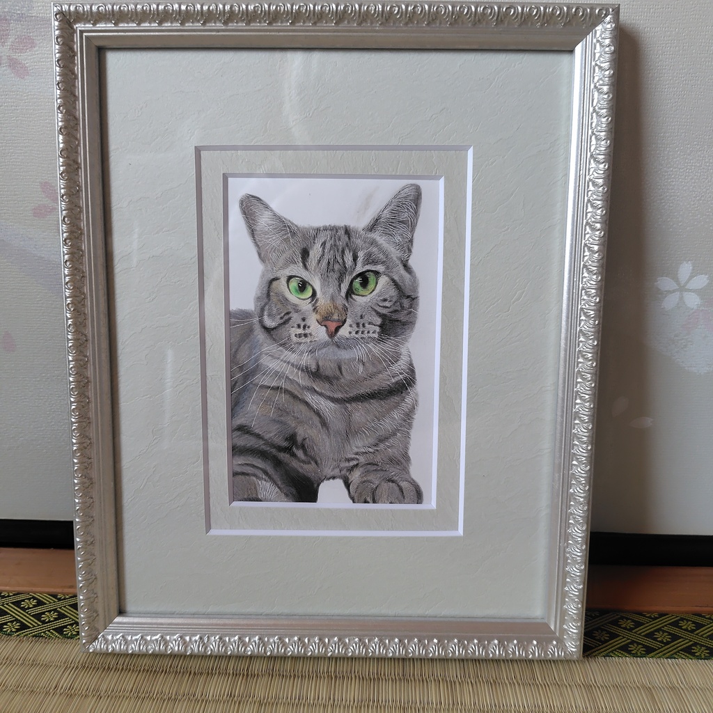 猫の色鉛筆画