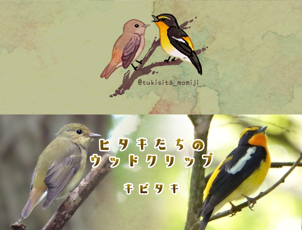 ヒタキたちのウッドクリップ
