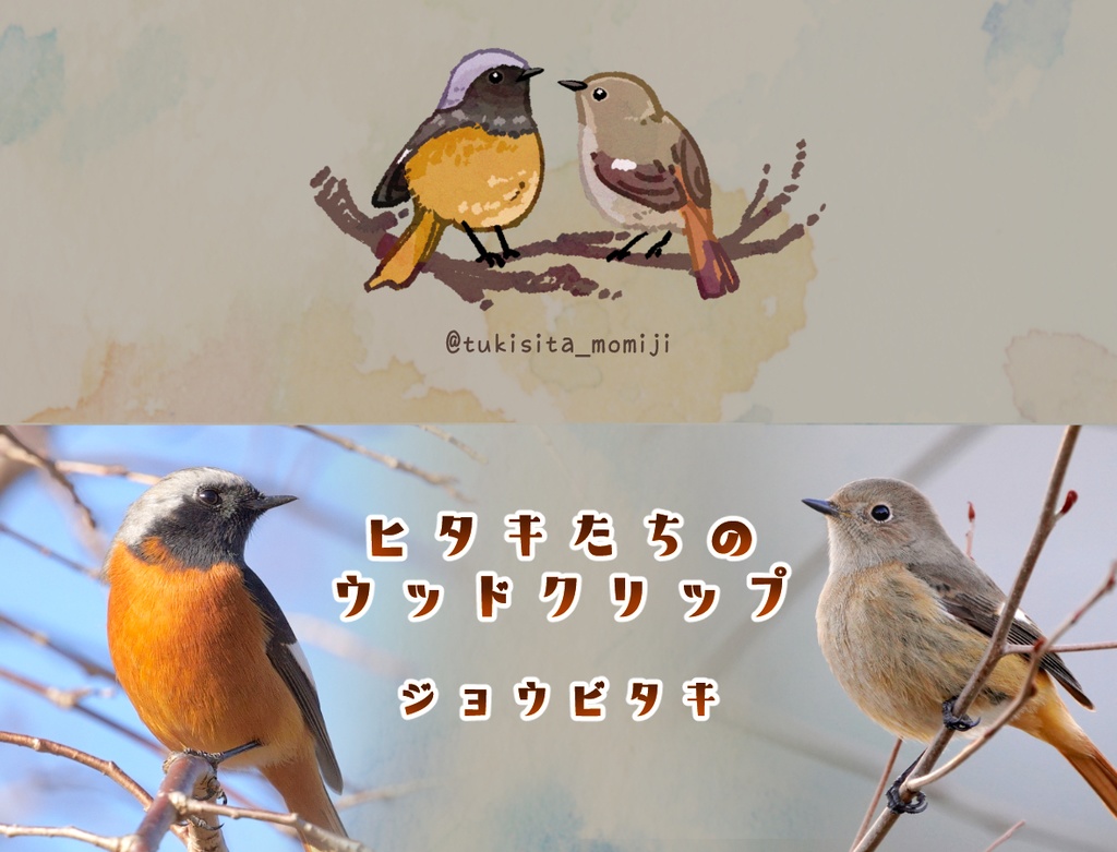 ヒタキたちのウッドクリップ