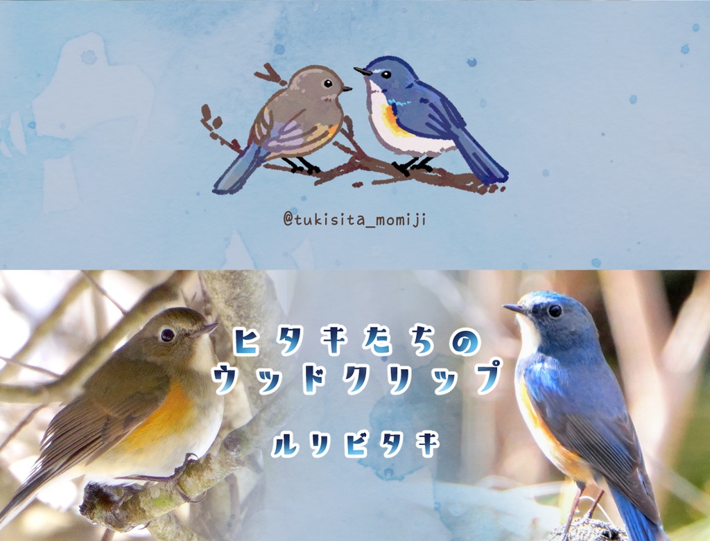 ヒタキたちのウッドクリップ