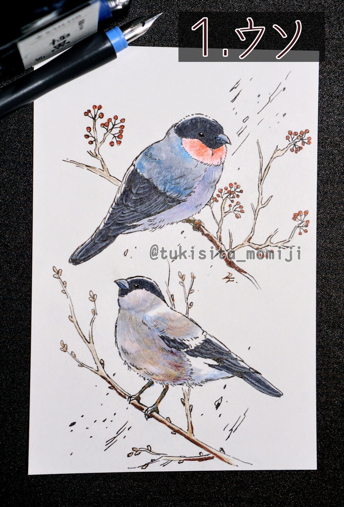 ドローイング原画