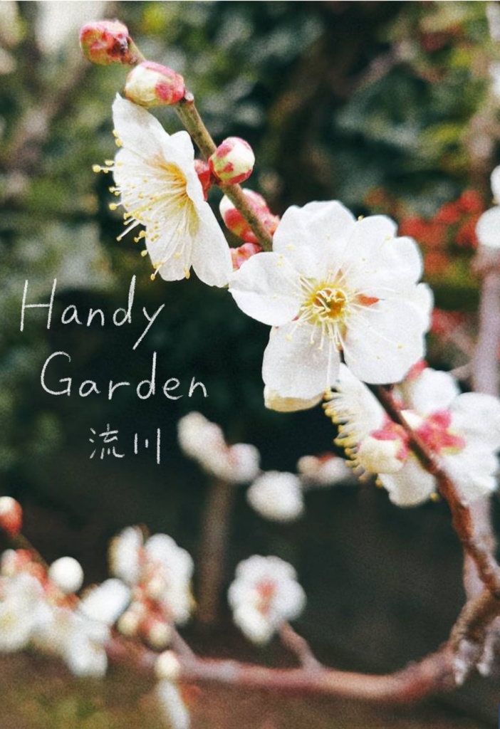 Handy Garden