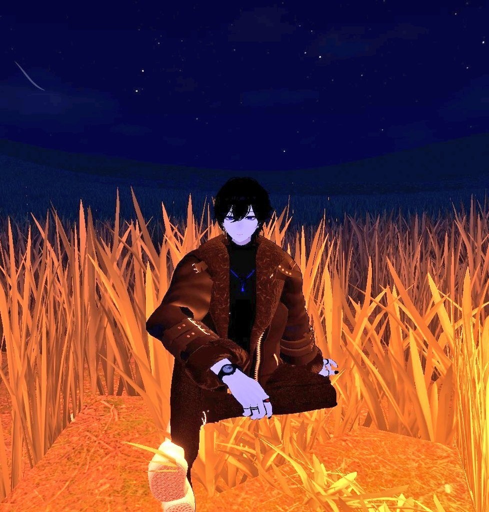 VRchat Pose 모션