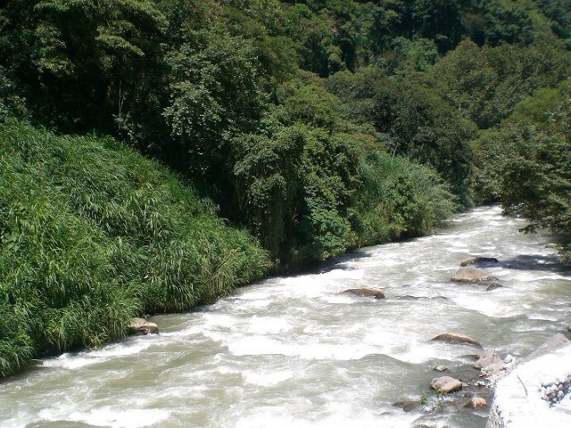 メキシコ チアパス カフェインレス