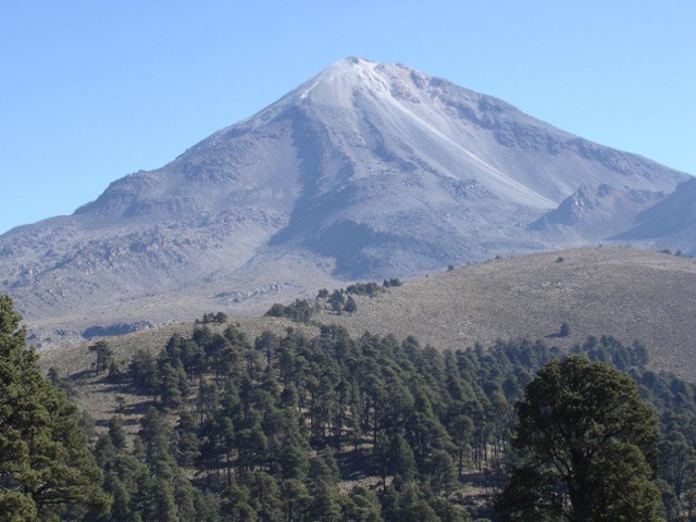 メキシコ チアパス カフェインレス