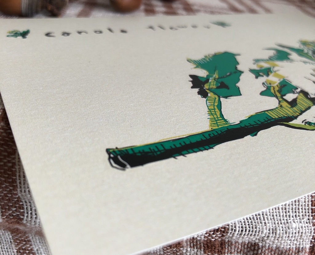 ๐ ใในใใซใผใ4ๆ็ต๐ฐkunugi set