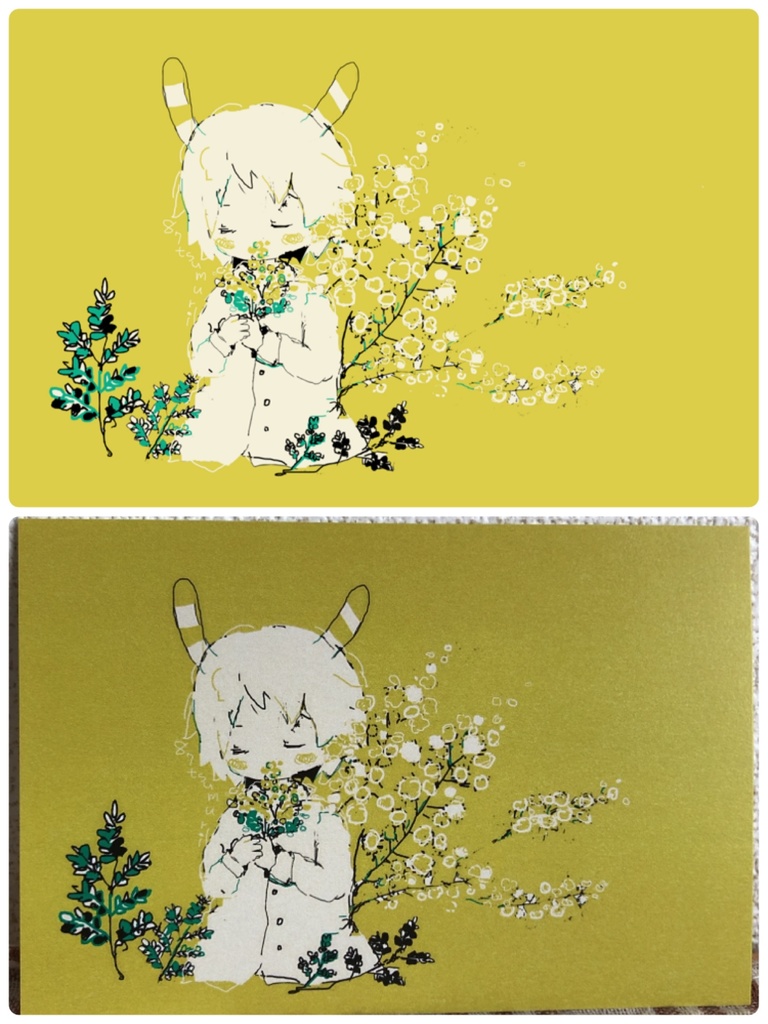 ๐ ใในใใซใผใ4ๆ็ต๐ฐkunugi set