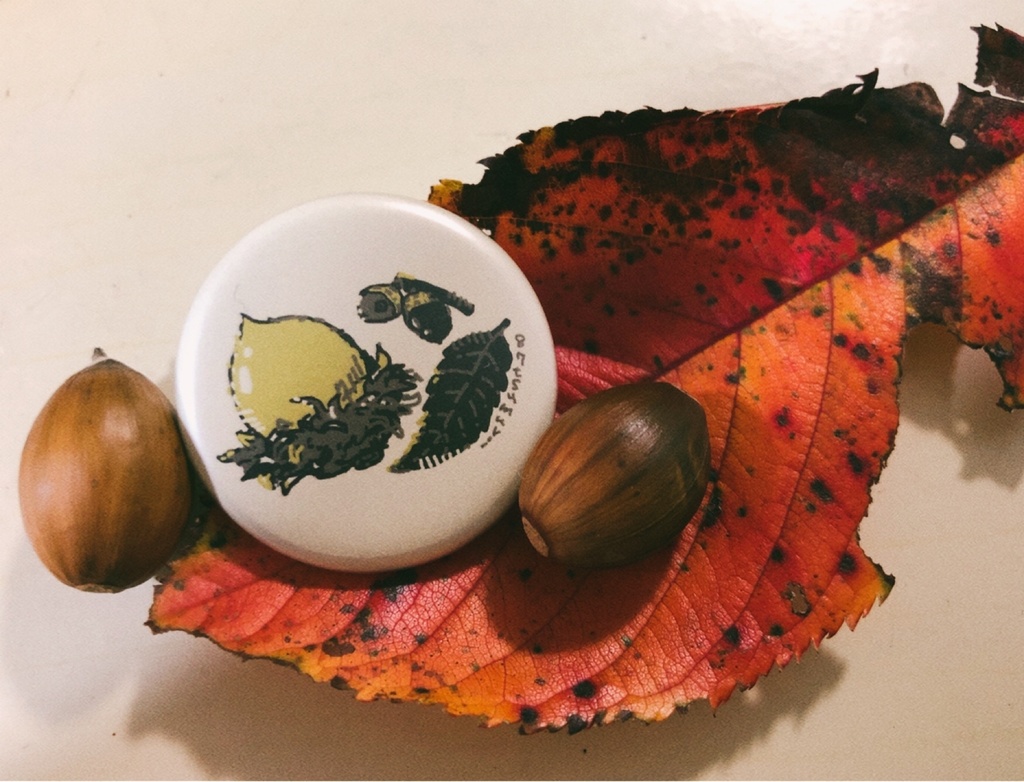 🏠きせつめぐり☀️🐌🌙マット缶バッジ【単品販売/全6種】