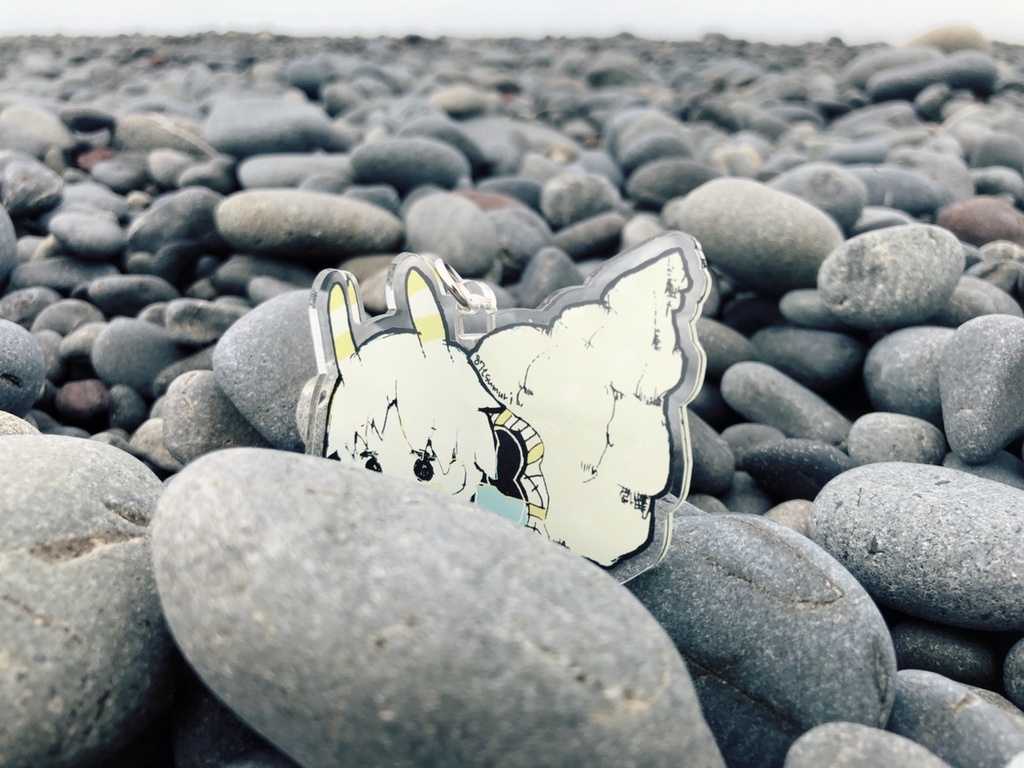 ๐ ใใฉใใใขใผใ๐ใขใฏใชใซใญใผใใซใใผ