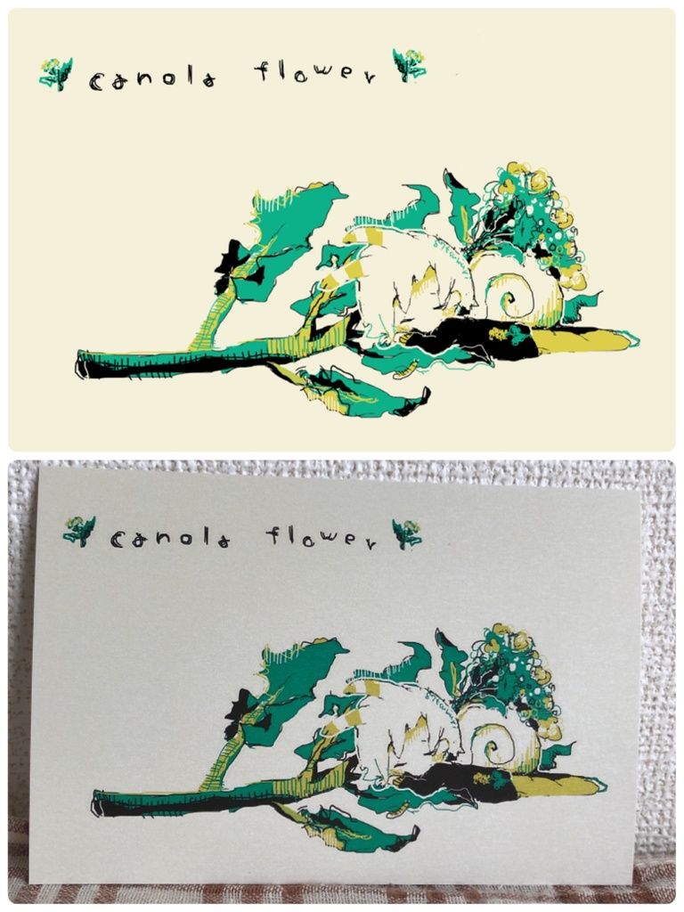 ๐ ใในใใซใผใ4ๆ็ต๐คใชใชใใใชsetใB็ดๅใ