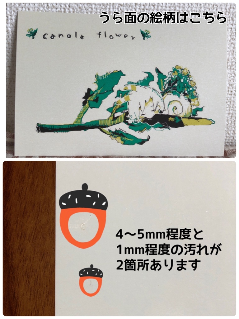 ๐ ใในใใซใผใ4ๆ็ต๐คใชใชใใใชsetใB็ดๅใ