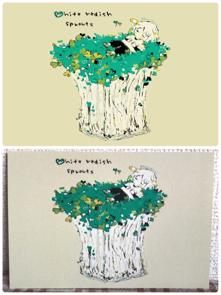 ๐ ใในใใซใผใ4ๆ็ต๐ ่ใฎ่set