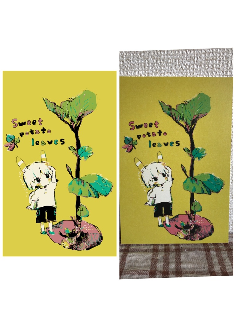 ๐ ใในใใซใผใ4ๆ็ต๐ ่ใฎ่set