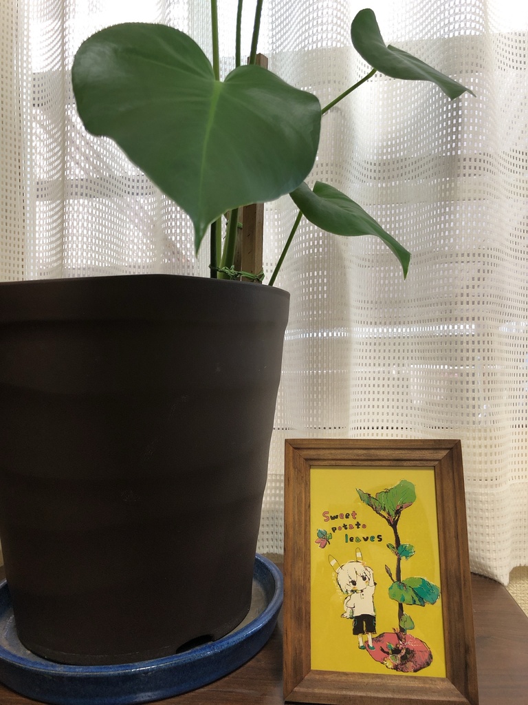 ๐ ใในใใซใผใ4ๆ็ต๐ ่ใฎ่set