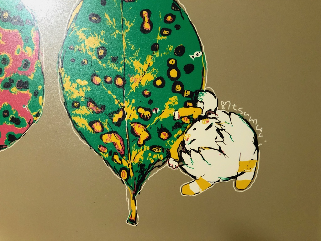 ð·ðFUJIFILM 圩-irodori-LABO PRESENTSã€ã©ã¹ãäœåðŒãã«ãã£ãŒãŠ20cmÃ25cmðKAKI NO HAãéæèŸŒã¿ã