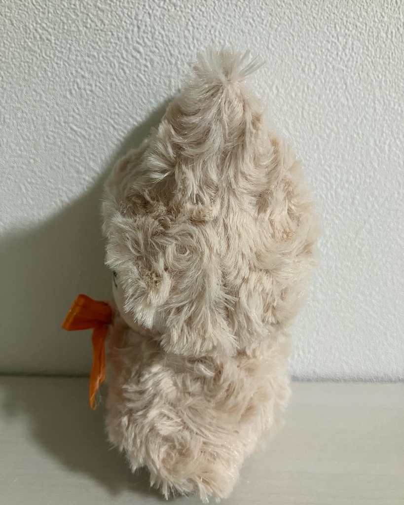 けも耳もこもこフード