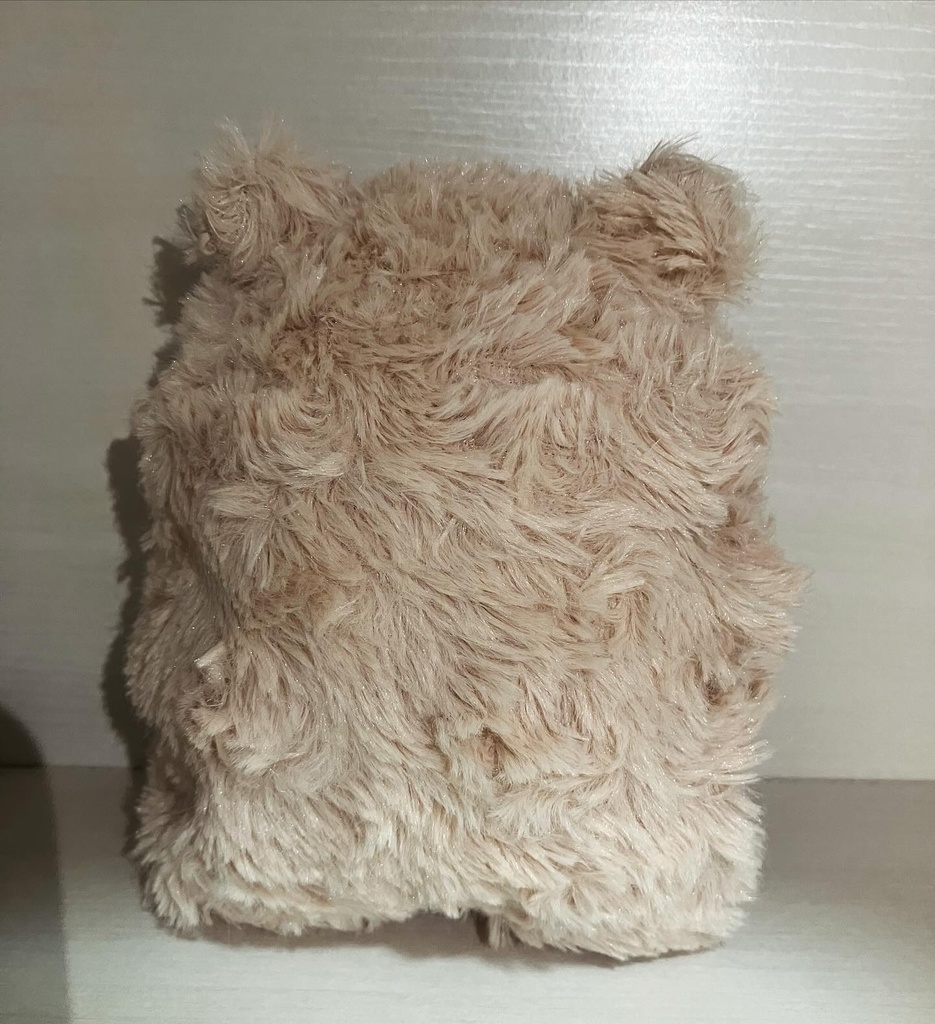 くまのきぐるみ