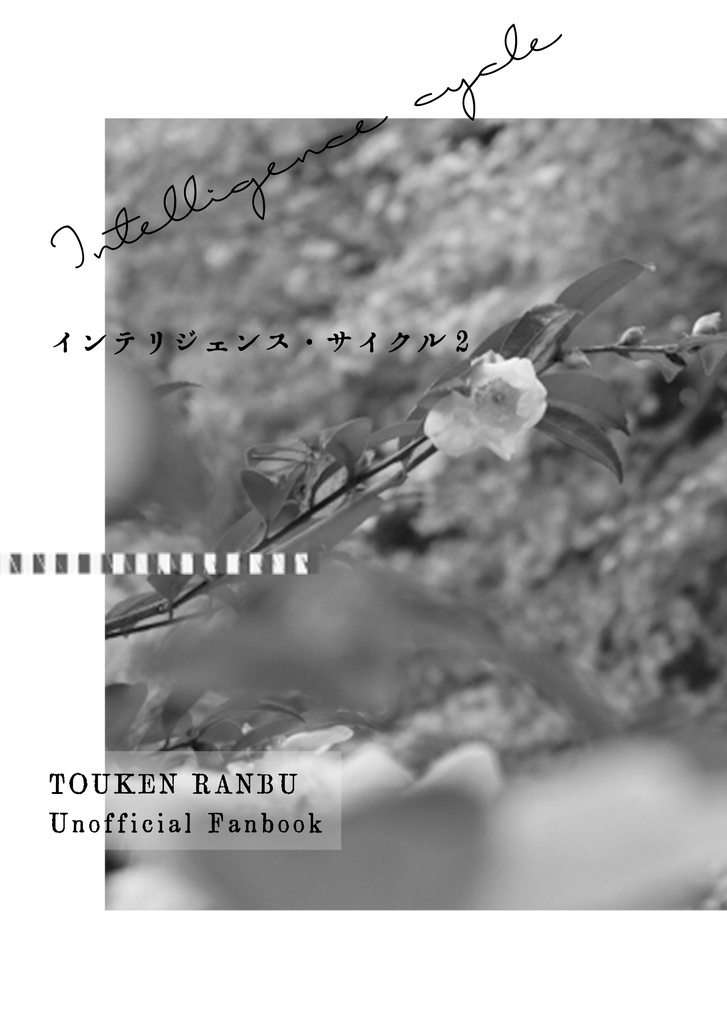 【再再販版】インテリジェンス・サイクル2