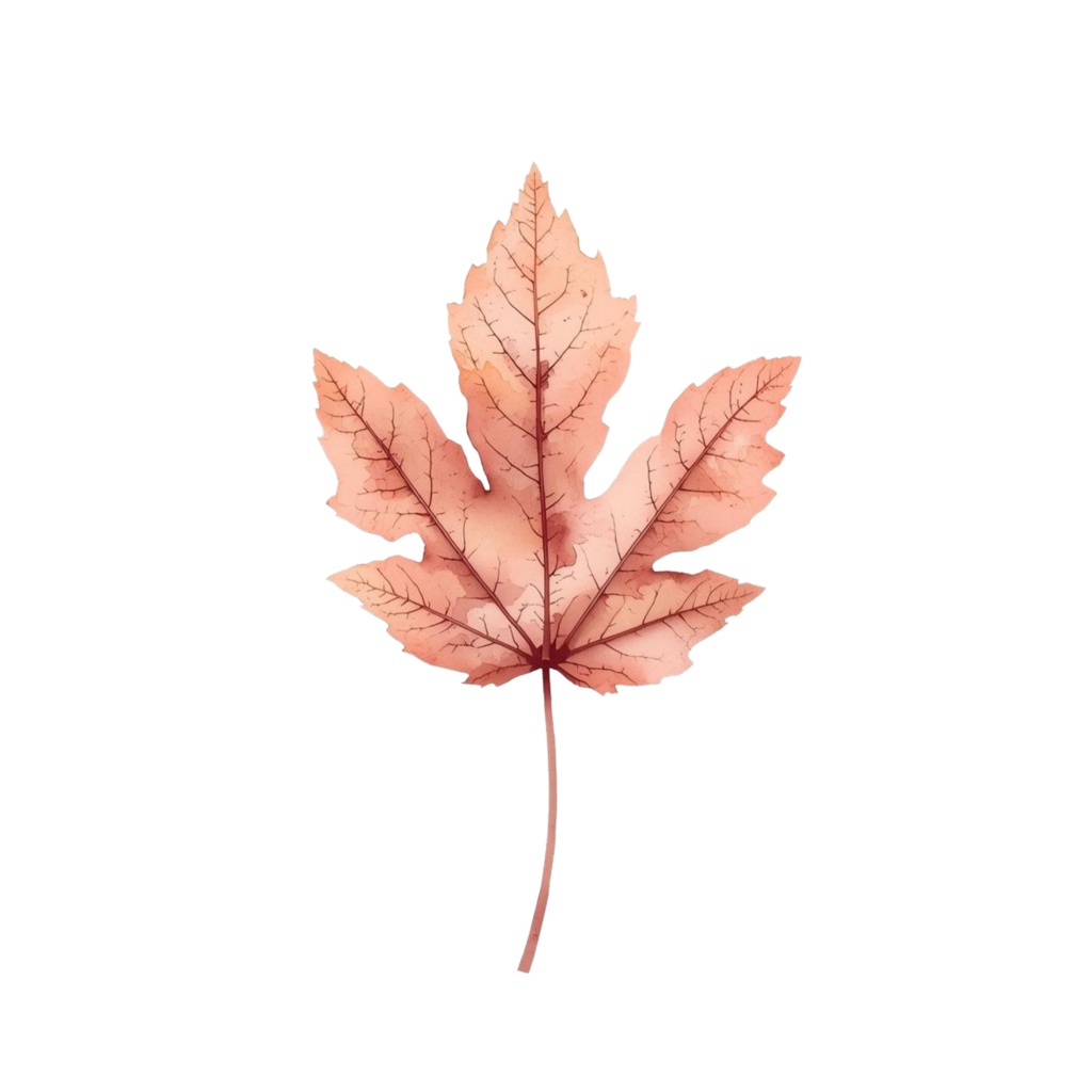 【季節シリーズ】水彩アンティーク風 / クリップアート12点 / PNG背景透過