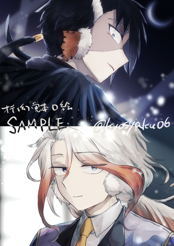 とけないゆきはないように