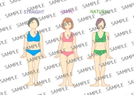 骨格診断　3タイプ比較