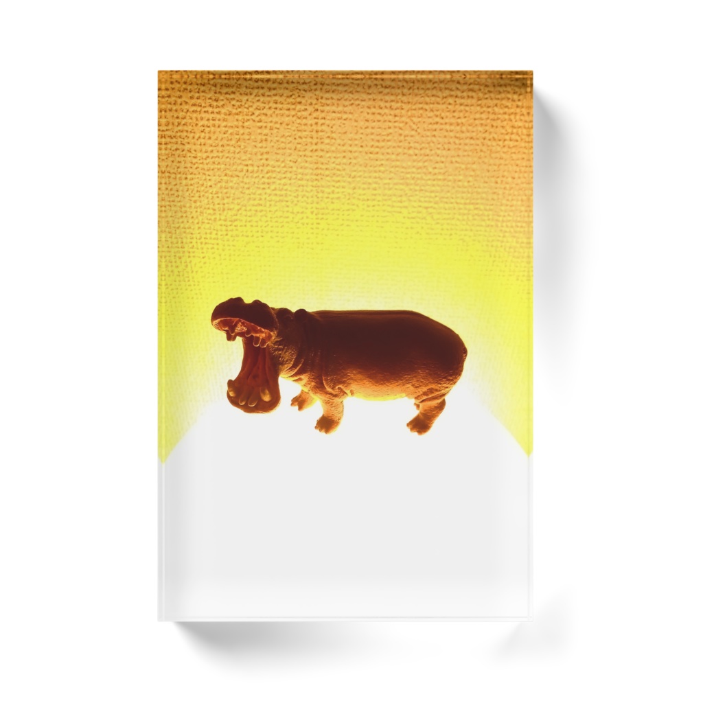 ◕ かばと恒星 アクリルブロック ◕