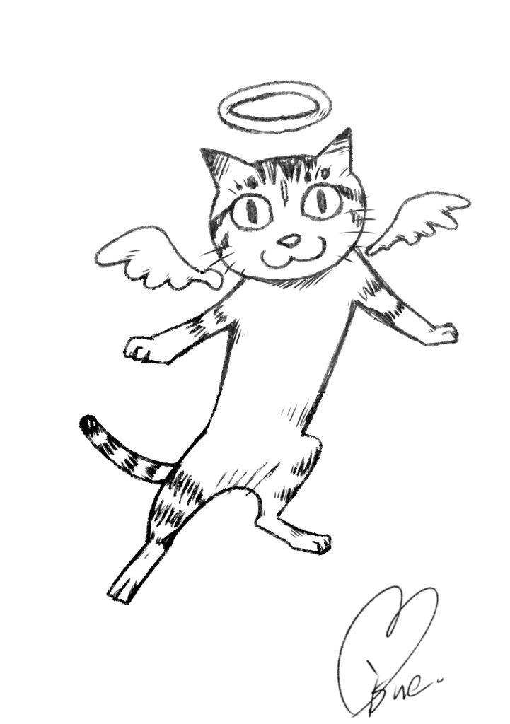 ねこソラへユク