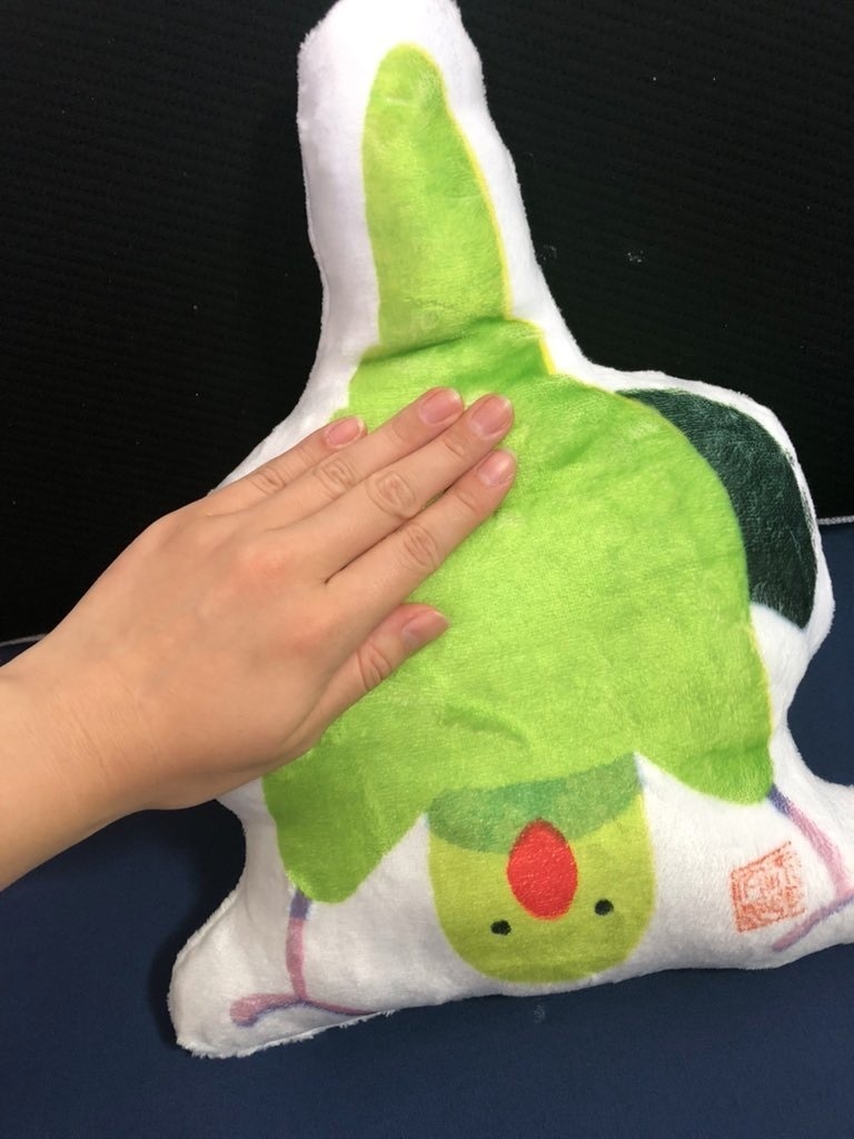 フワフワもふちりぽんちゃんクッション