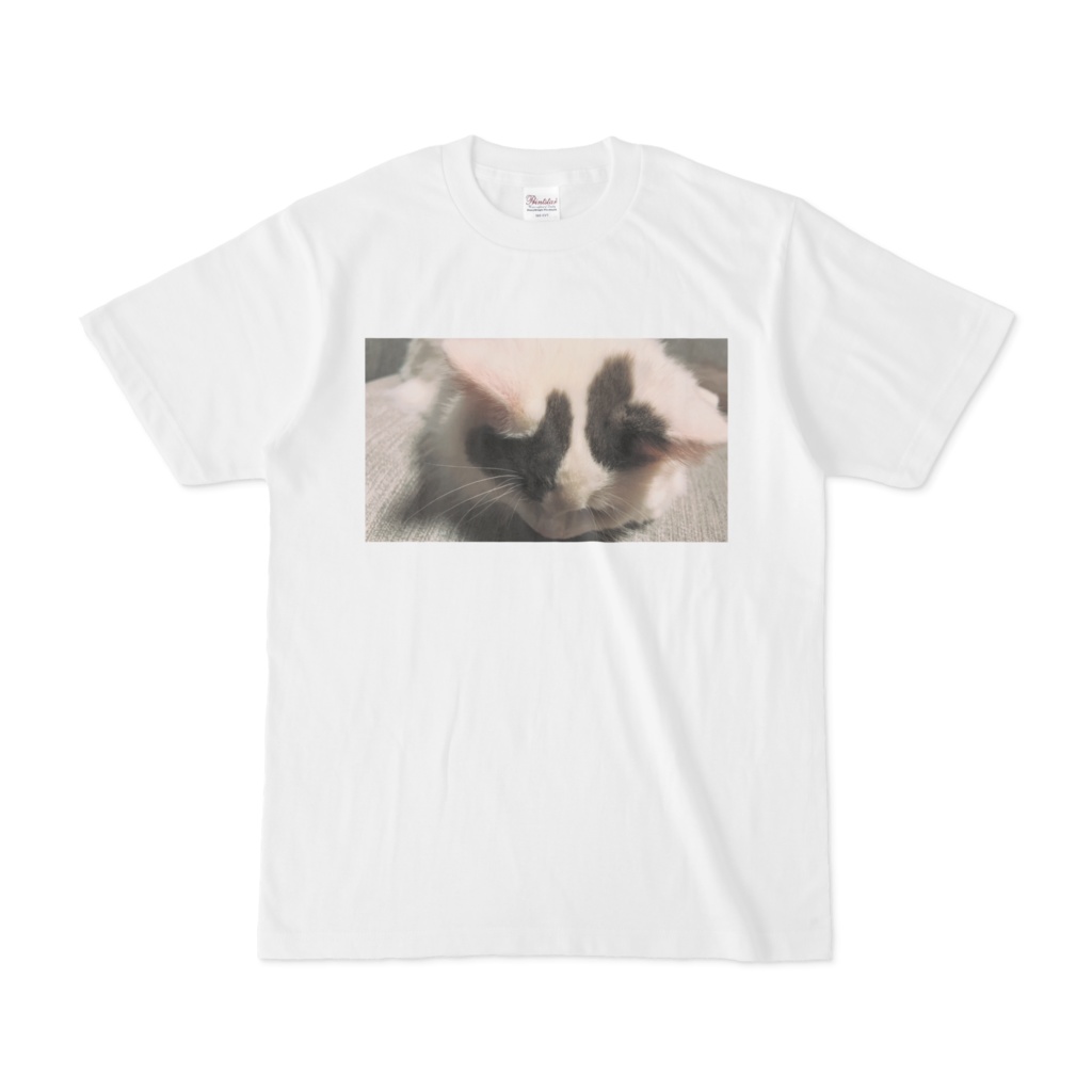 Tシャツ