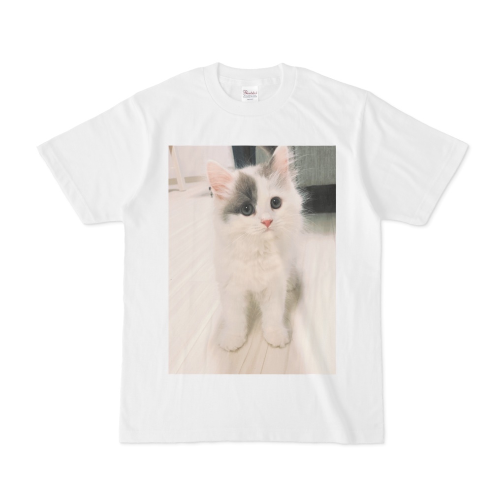 Tシャツ