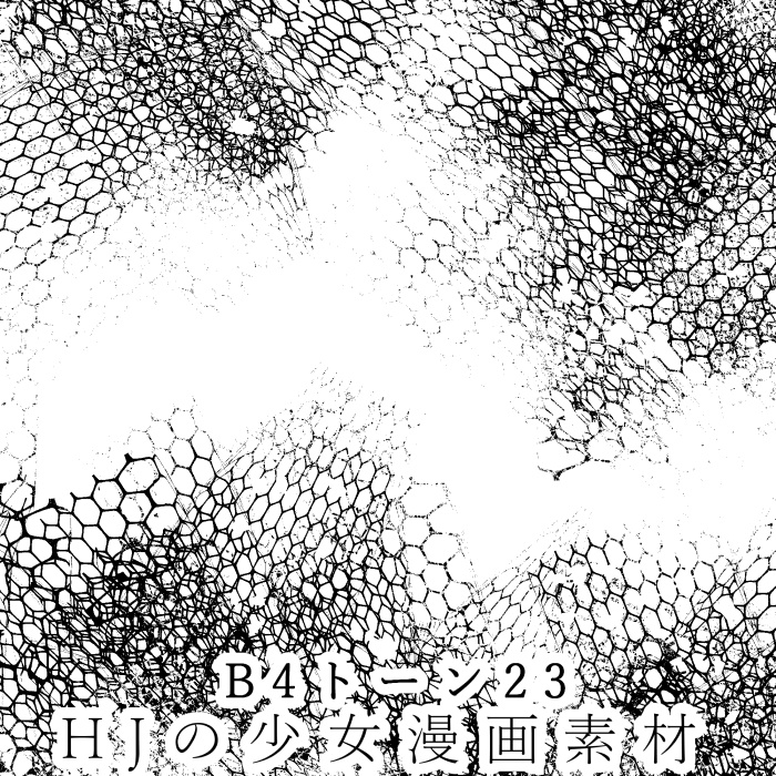 【JPG画像/単品売り】B4トーン23【グレスケ素材】