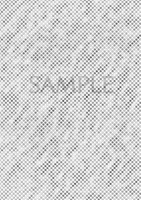 【JPG画像/単品売り】B4トーン53【グレスケ素材】