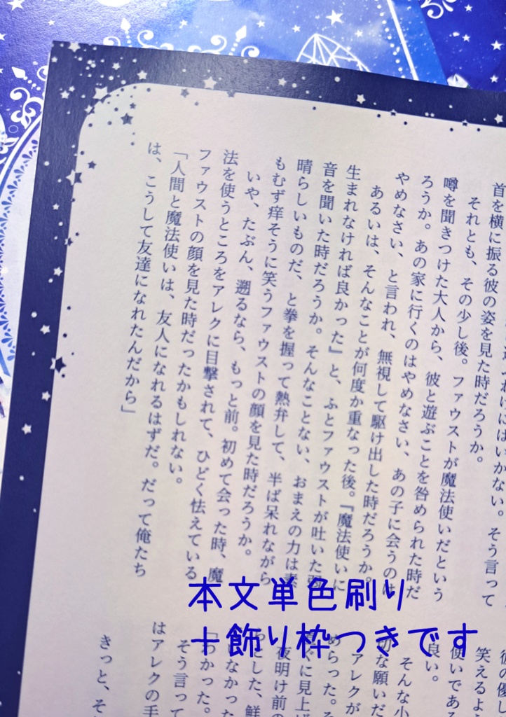 そして聖者は王妃となった【匿名配送】