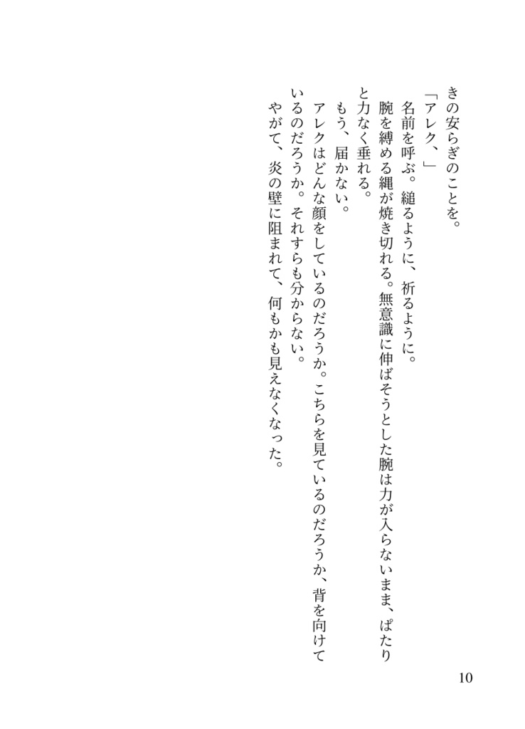 夢の焼け跡【匿名配送】