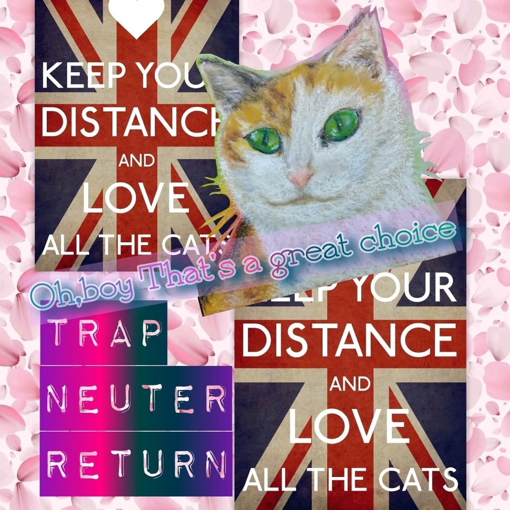 ◆さくら耳✕桜ブレンド 50g◆