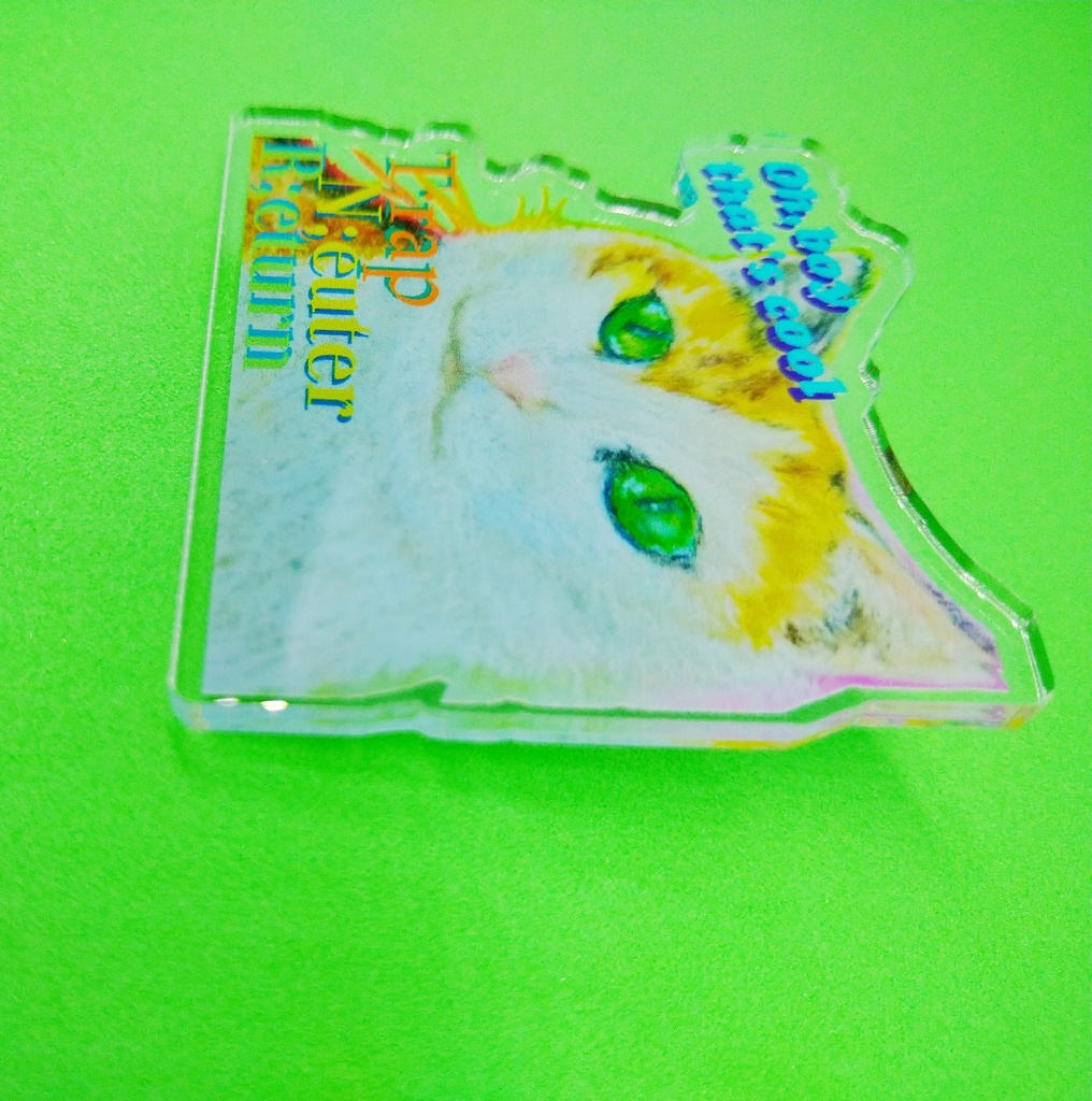 ◆TNRノススメ チビミケちゃんバッジ◆