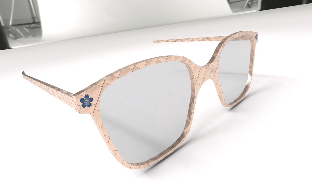 Custom Fit Glasses for Ravian