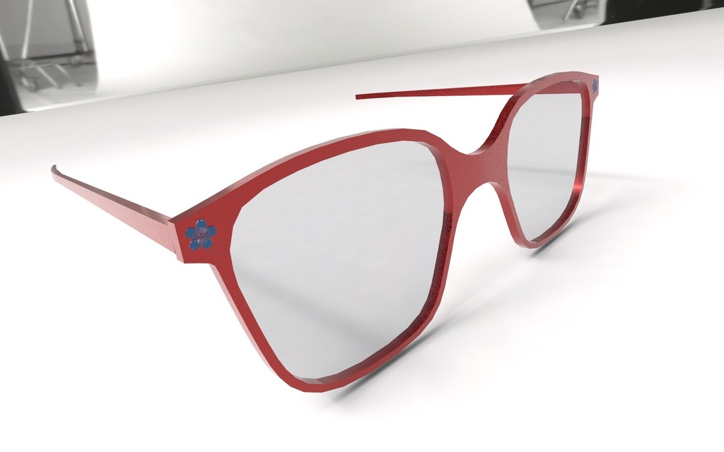 Custom Fit Glasses for Ravian