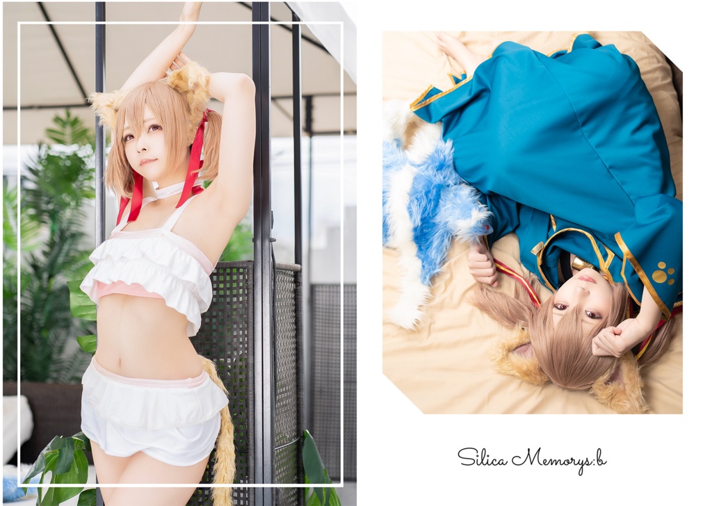 【C96】Silica Memorys:b